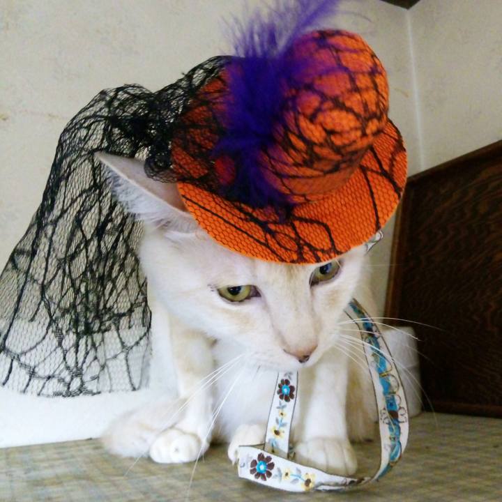 E922a5d2 c935 45a9 9237 cc23cd6616c4