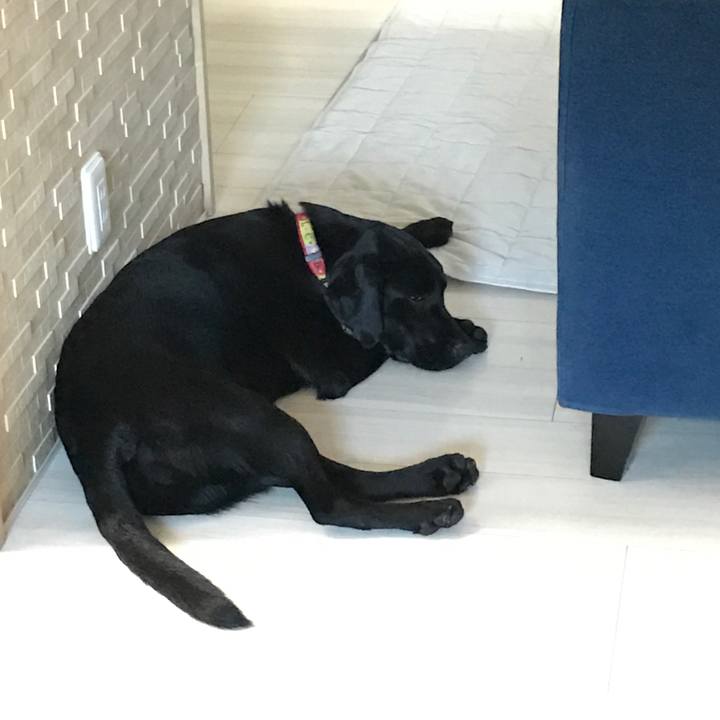 E922c9e7 0c20 4344 9640 37d49915d2cf