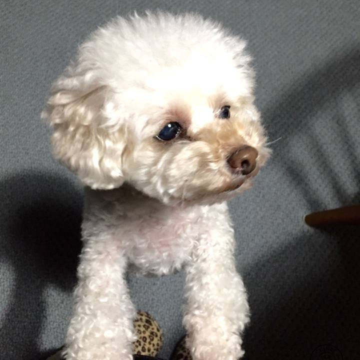 E9239ca5 78b1 4805 bf42 81dcbd950a3a