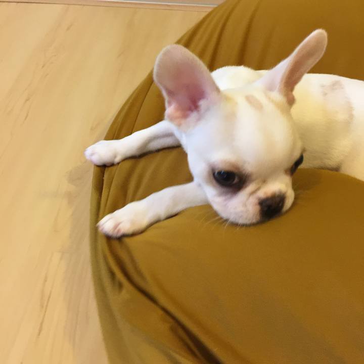 E923af05 a00b 4016 a780 63a7dcfc251c