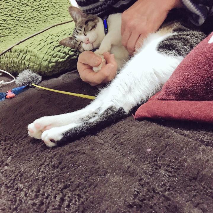 E923dcca 2e99 4c8f 870d 8c3fde391509