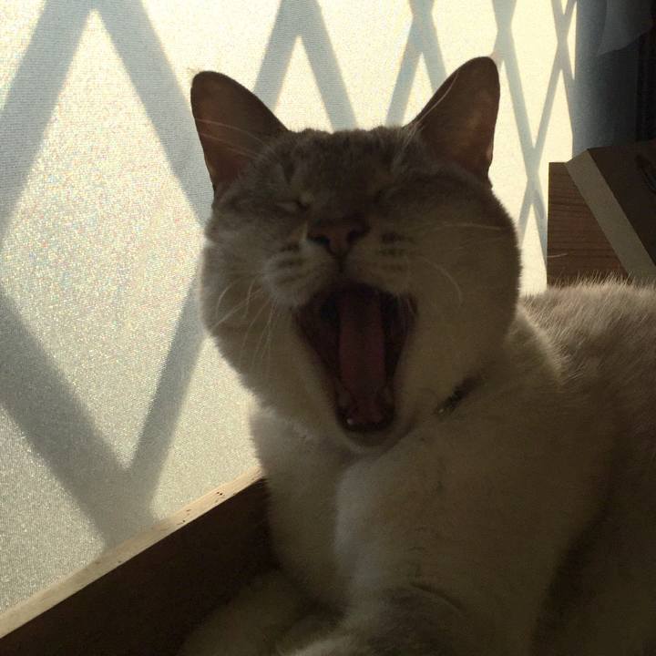 E9242285 7d87 457c 8b4b 61cc8180493f