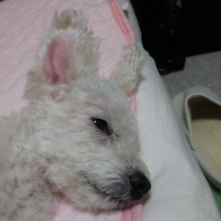 E9243c71 c01e 4827 a61f ebd91356ab03