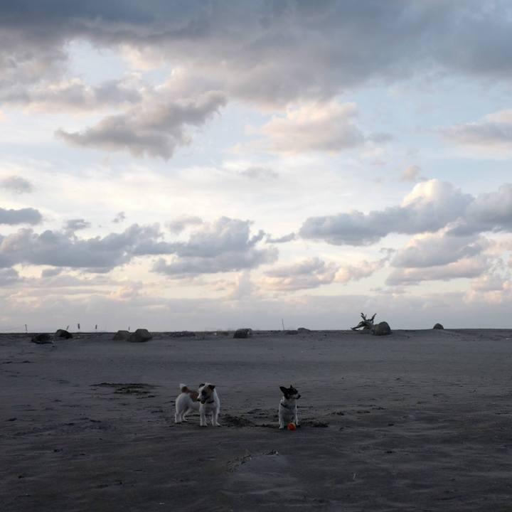 E9246b0d 415b 466e 8a51 c7bbb1a1ca7c