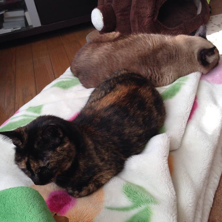 E924f0ba 76a4 40c2 9c2d 7c7a59eb458f