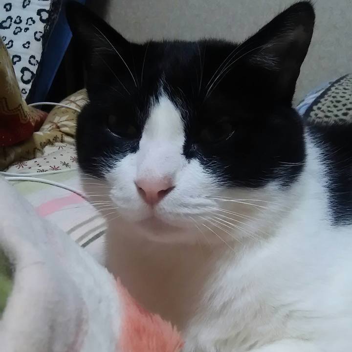 E924fce6 8df9 4119 95af bb24150984aa