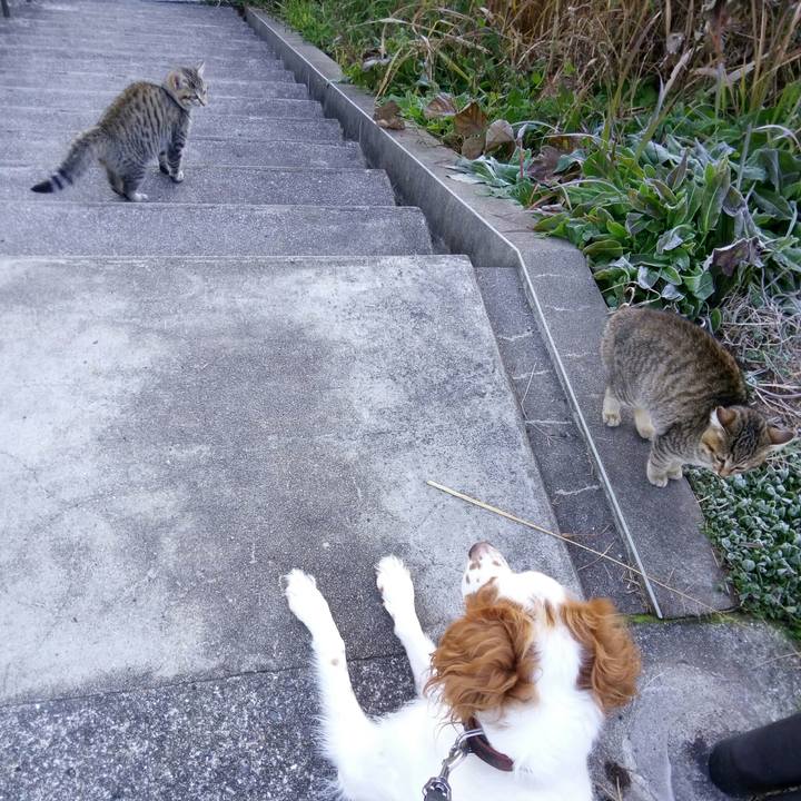 E92726f1 c0ee 498c 9b3d 794808b5157b