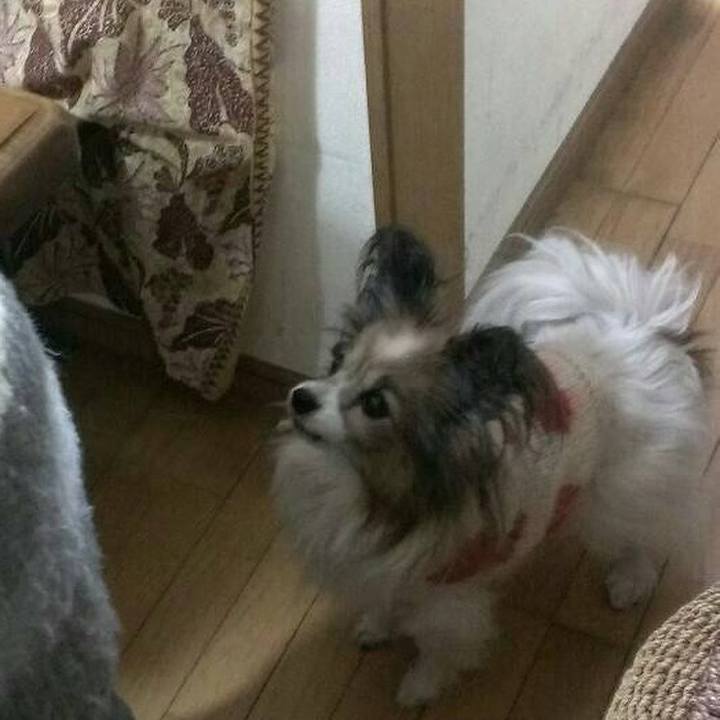 E92726f1 e123 4fc6 adb6 f53a914f3166