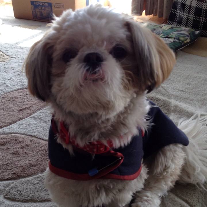 E9272cee aae0 4daf 858e a21c62aee6ce