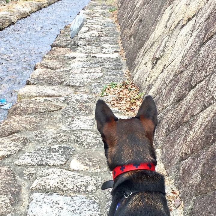 E92746cc 4e5b 4374 af65 cff291716533