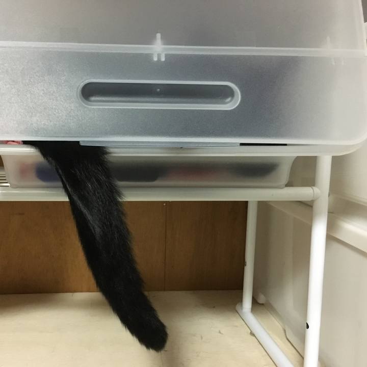 E927856f 9d7d 43b0 8df0 2f27a7b9704e