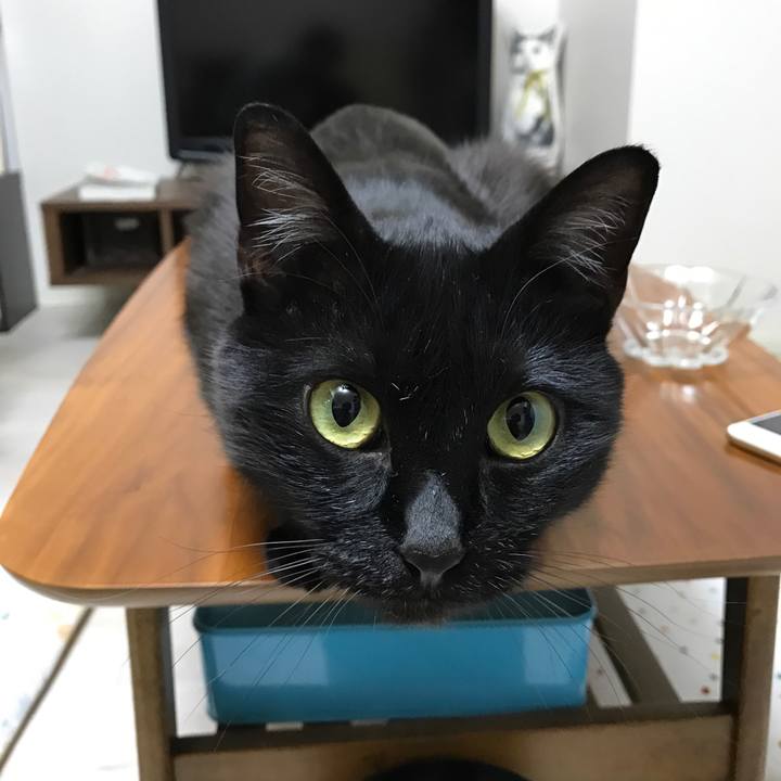 E927c441 9bd6 488e 941e 61d80382e659