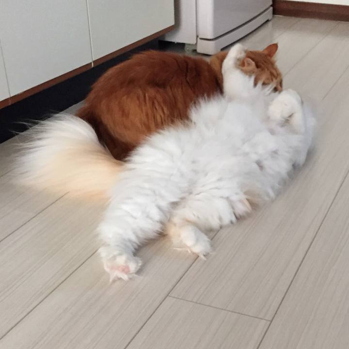 E927e7b6 fb61 4361 9a70 b942a805ce48