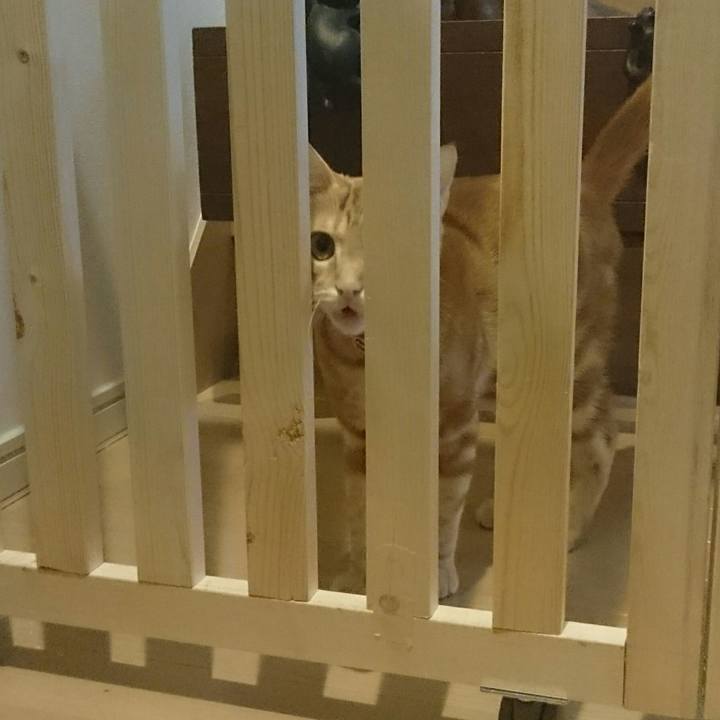 E927f588 f45a 4ea0 bb14 fe3a599496fb