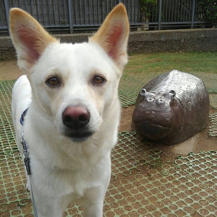 E927f73e f945 4132 9d7c 2cbe2ae365af