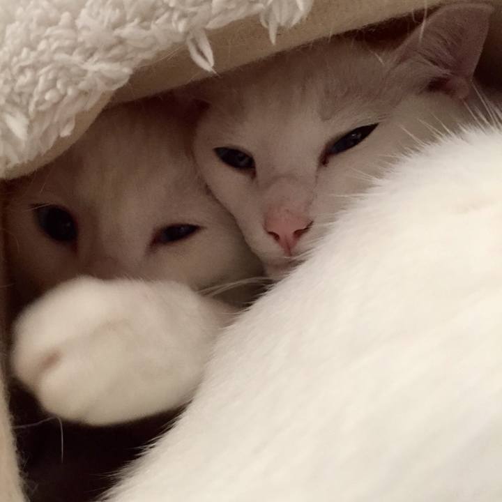 E9284bc7 23cf 41e0 9f80 345928cea6e6