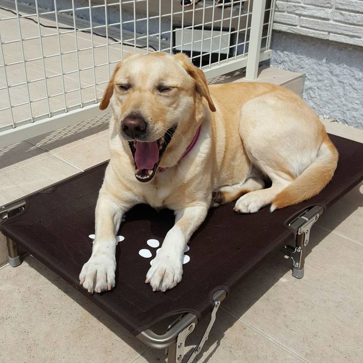 E928d5d5 3b14 402d 9b8a 941d4e7c7521