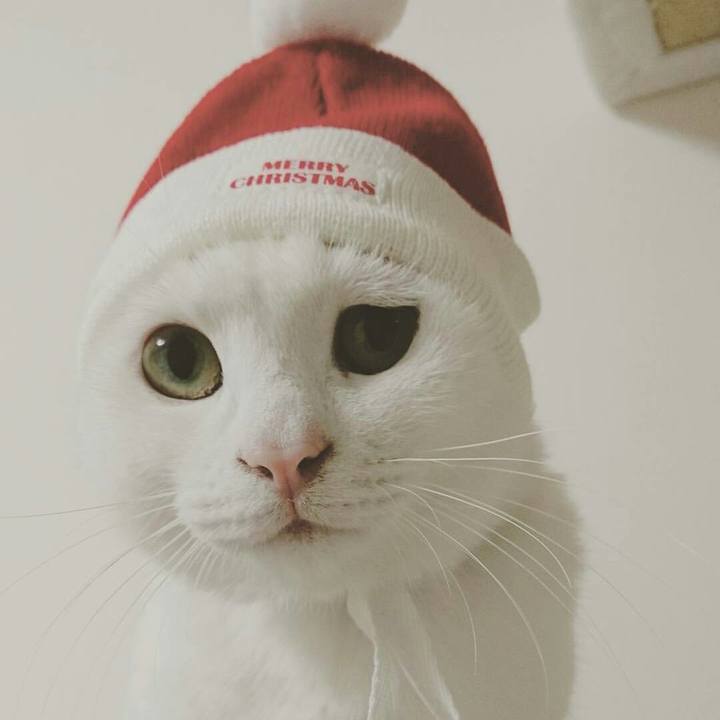 E9295f82 48aa 4c41 91a4 fa2a0e1ab397