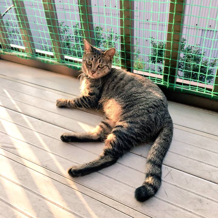 E92985fc 82c5 4d9c b4ca ba0b88180b3d