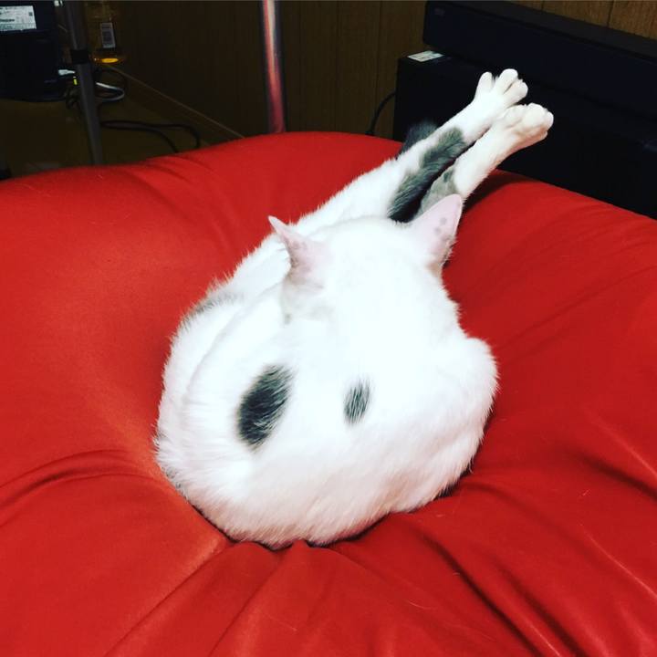 E92a7a16 cc7f 4a6c af63 539c830583ef