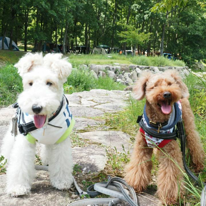 E92a7fed af38 4e03 8151 4fabb9f0b04f