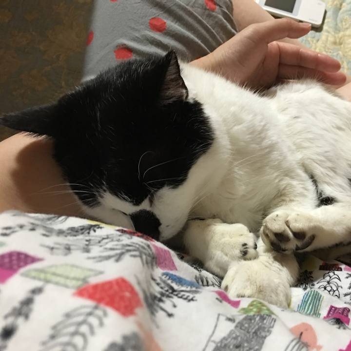 E92a92f6 0da4 4955 956b 9ebf2f08cc32