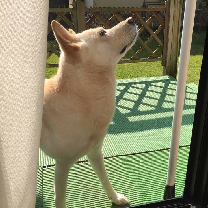 E92c2221 223e 4aed a0ae 9a850e4e317a