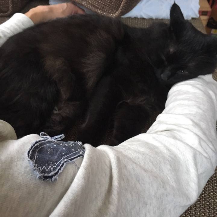 E92c3d46 591a 4875 bdc0 e6a037f61aa7