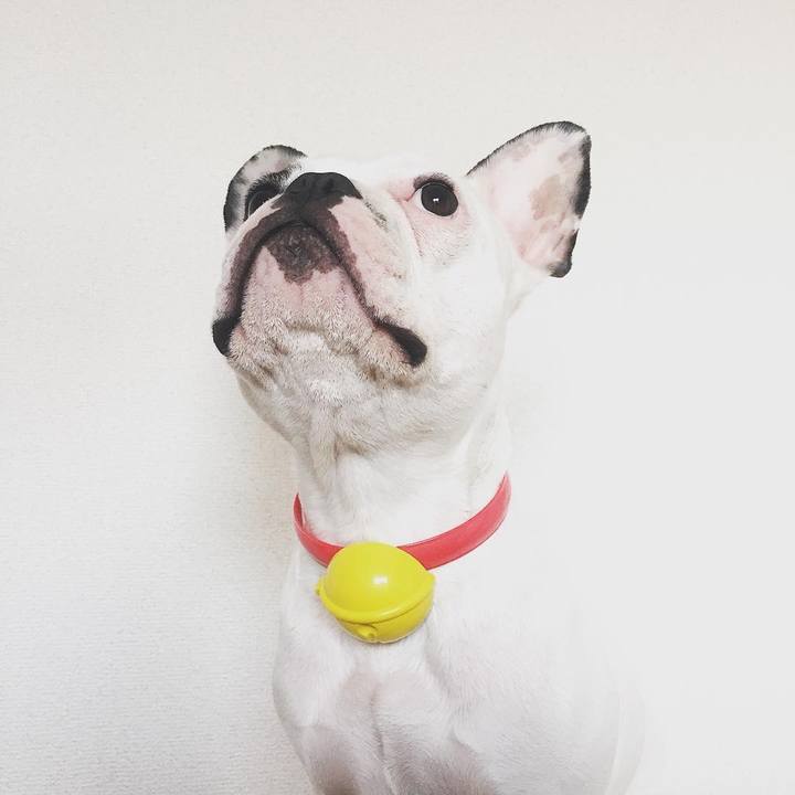 E92c4264 2030 40e6 a664 6ea3ba488be2