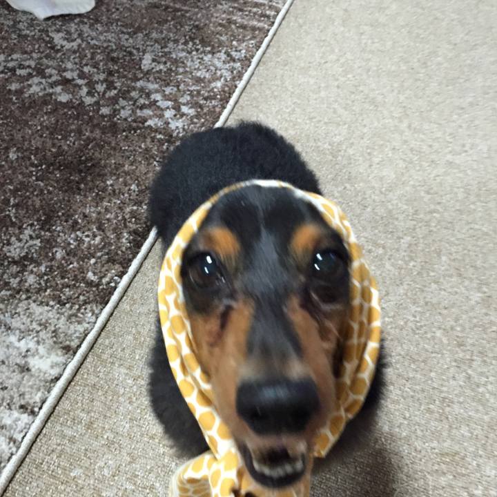 E92ca127 07a6 492a 88fb b01e3a0d2667