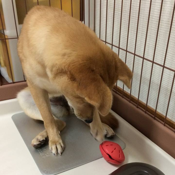 E92d1a4d 2757 41ef 9fb3 391535ac733a