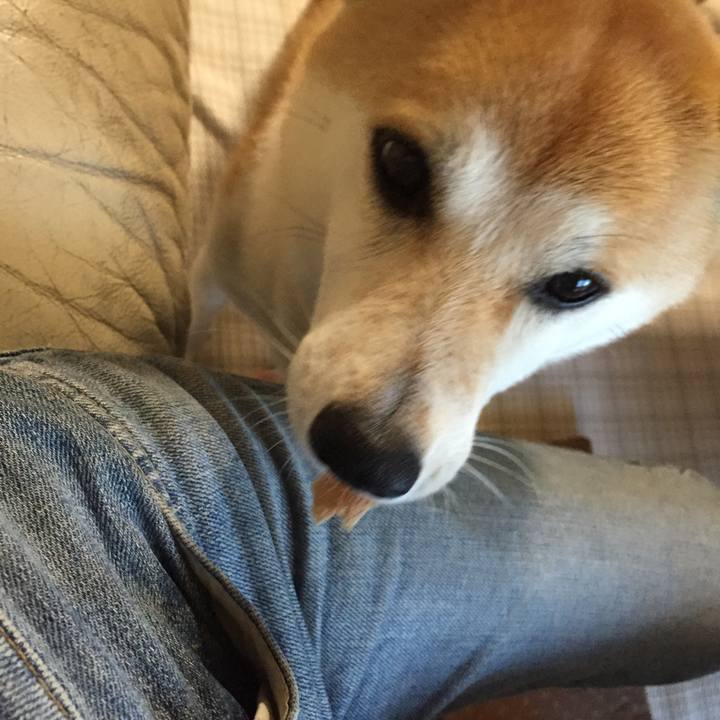 E92d690c 1fc3 4f0d 941a 61db3f9b44c6