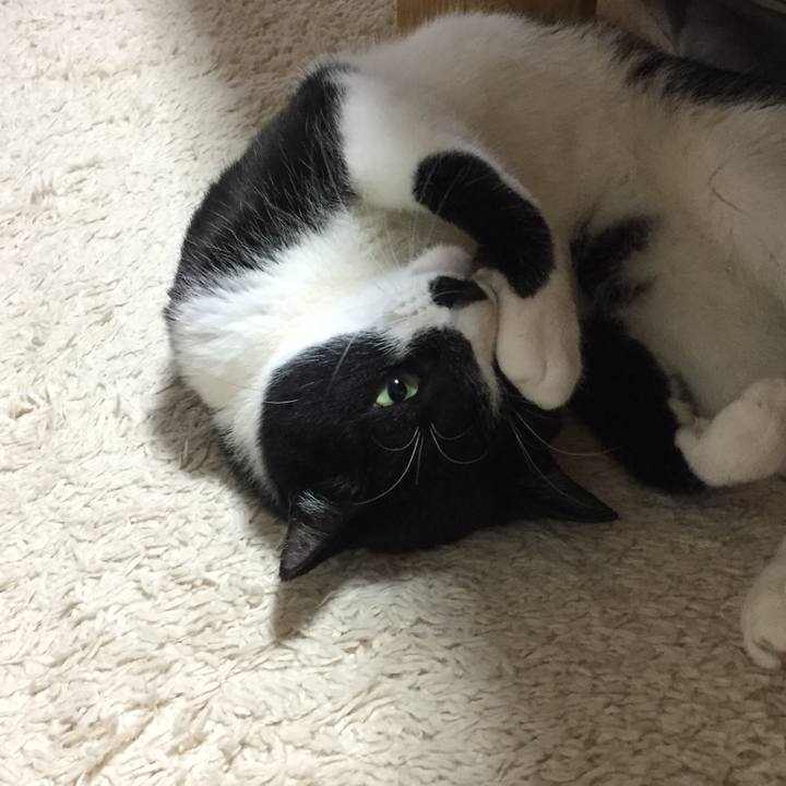 E92d8f46 0ac2 4721 98fc be8d321b9298