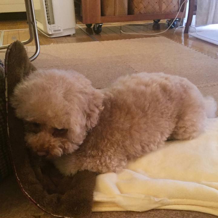 E92daa50 c7e0 45b3 88e2 e3ec2551df2e