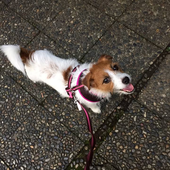 E92dff71 7ace 497f 91b9 4623cfe4285e