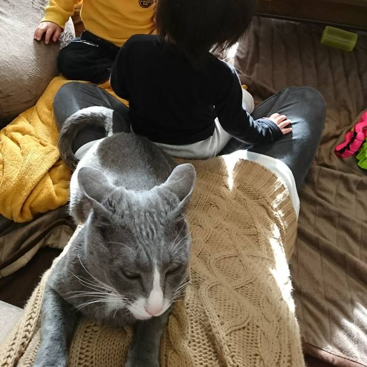 E92e6928 097d 47b6 9a1a 3af80a8f9277