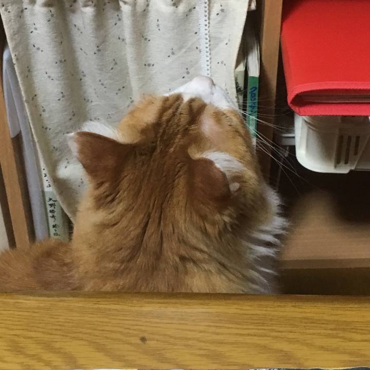 E92e8232 9819 4618 a2d7 7989a003c886