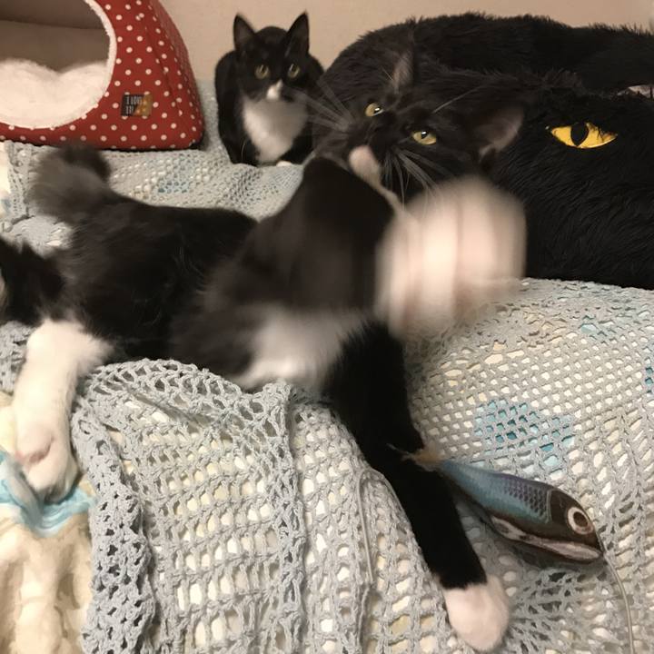 E92ed983 604a 4525 a6b1 add432df09c7