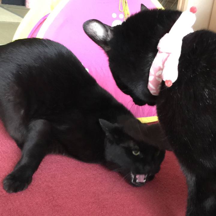 E92f48e1 7665 4fd1 a764 9b90f52126b7