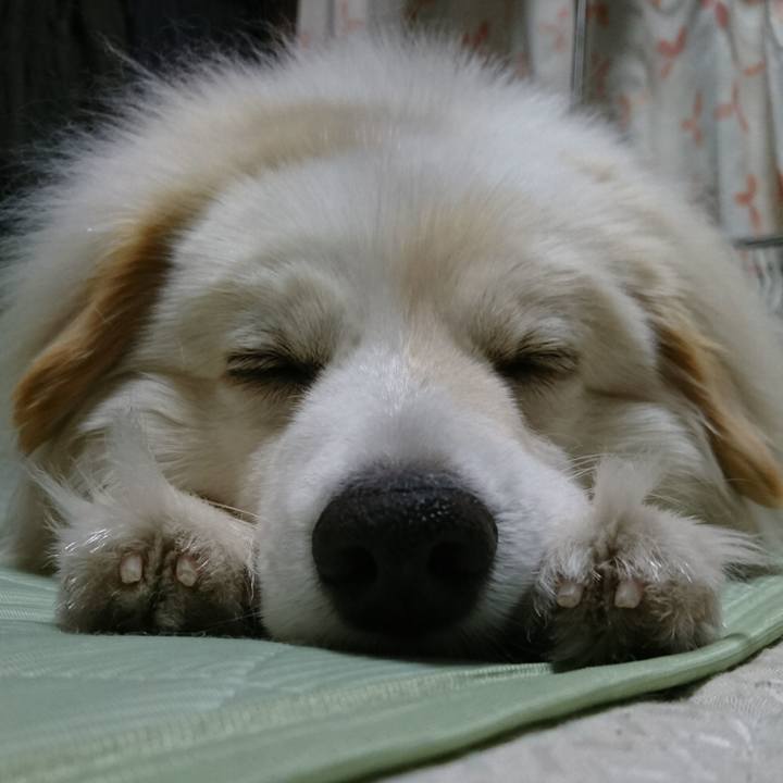 E92f5067 97a6 404c 917f 394d8f001f5a