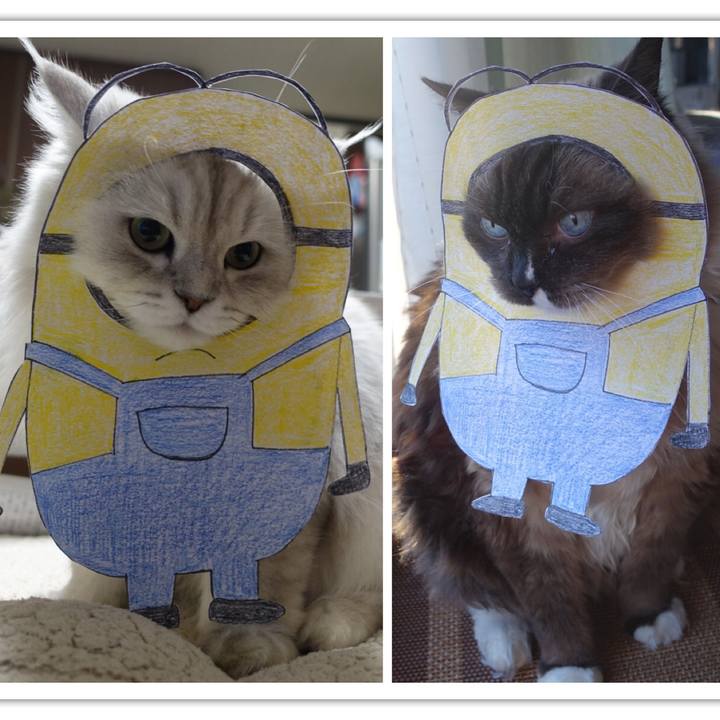 E9300add 264b 42ee ba1f 79a8d4ba8b47