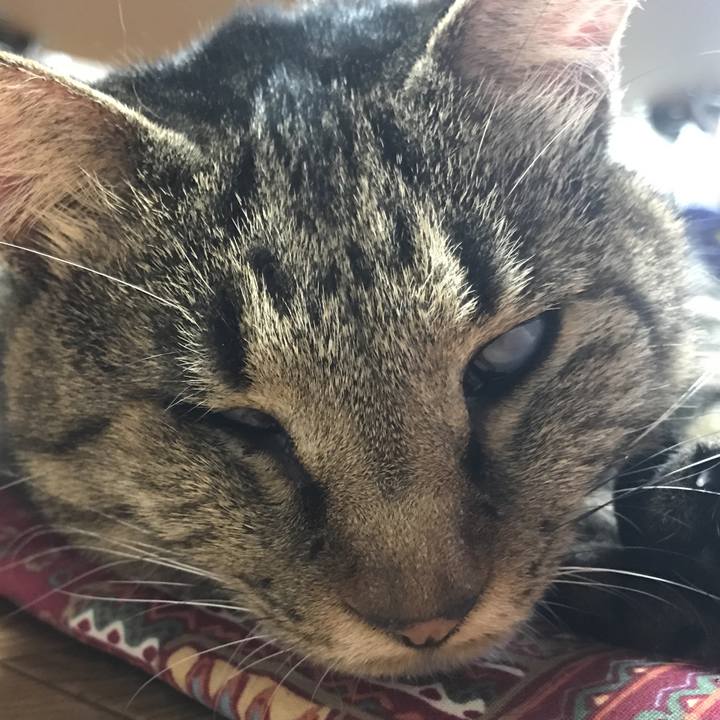 E9306246 5c1d 4186 a434 6898bd8c38b1