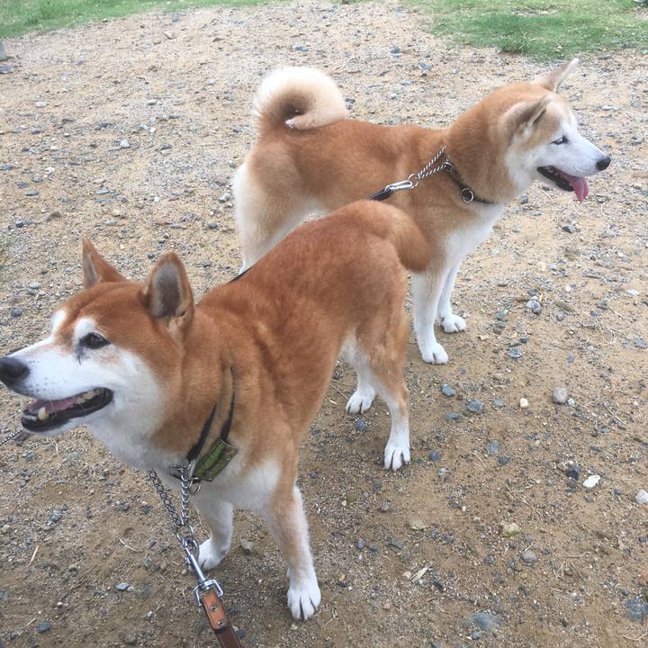 E9313e0f 5d2d 498a b680 e1fc92e9c4c2