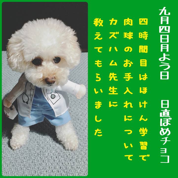 E93165ec 766e 403f 84f6 f31ec3cf6f8c