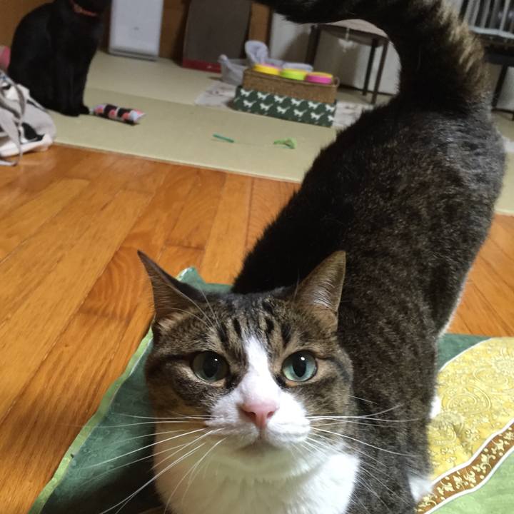 E93212da 5706 40ac b2c3 82e553a62ead