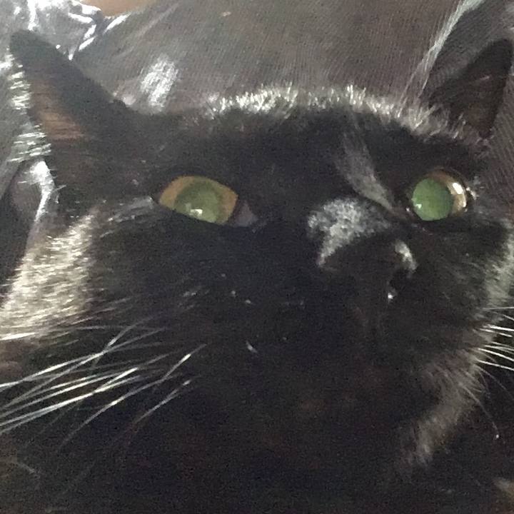 E932dd31 6502 4ee5 ac29 98caa0e3f863