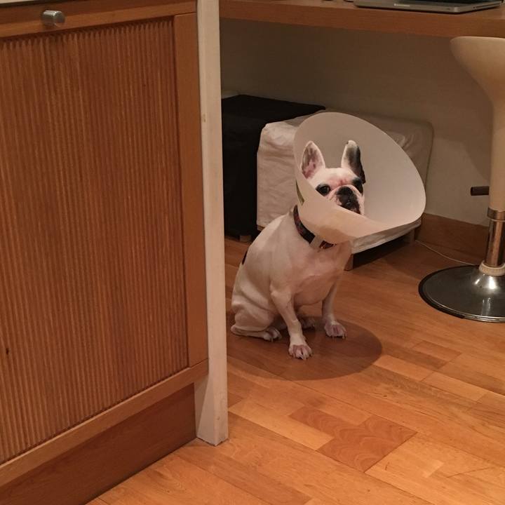 E93373cc d204 4edc 9eac 6392ac256c29