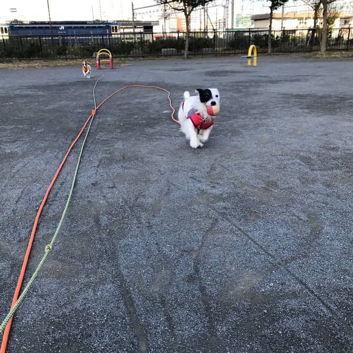 E9337b13 17a4 4f67 932a 344dfa6f8459