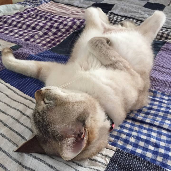 E933a967 8f79 44b4 894f 684e99f9a0cb