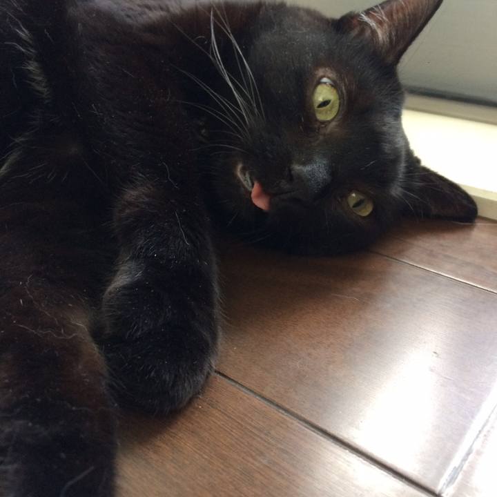 E9343ee5 bbad 4615 93ea 23be1645806a